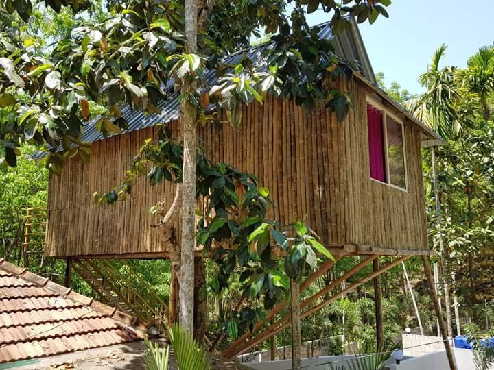 Ponmudi Valley Resort主图