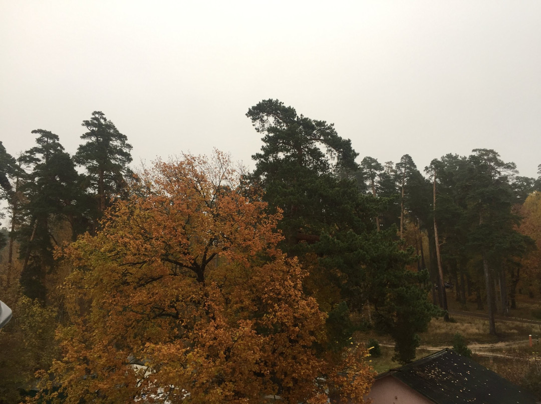 Borovnica Hotel主图