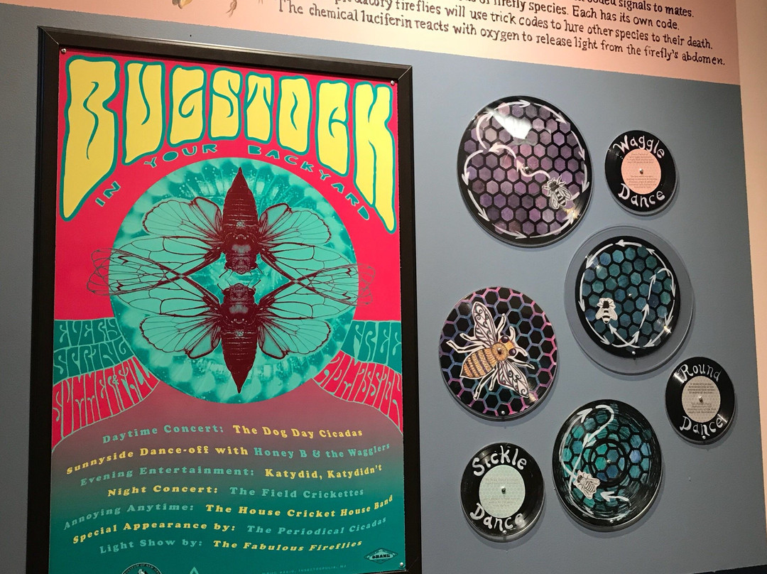 Insectropolis, the Bugseum of New Jersey景点图片