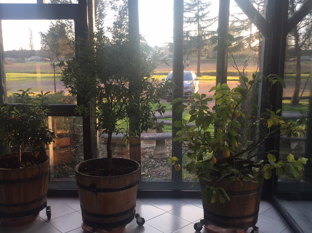 Hotel les Rives de L'avance主图