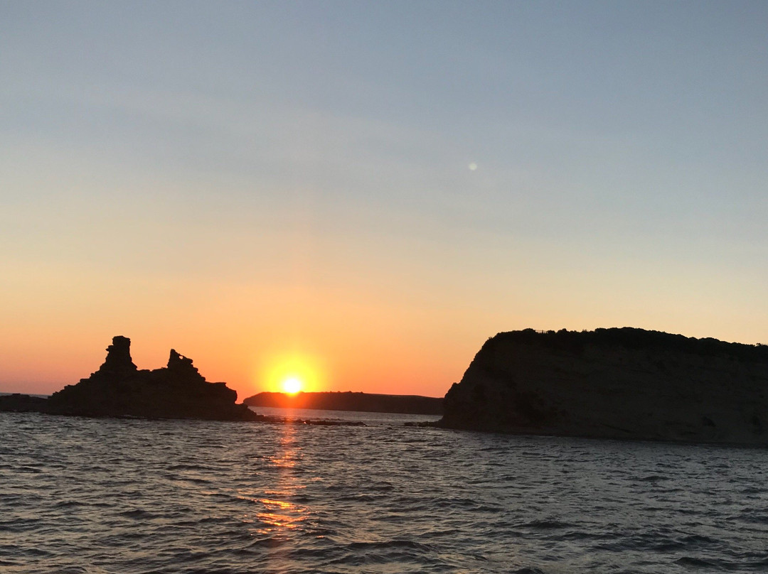 Refuge Cove Cruises-Port Welshpool必去景点