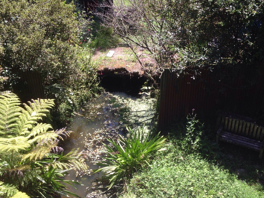 Whangaparaoa Narrow Gauge Railway-旺阿帕劳阿必去景点