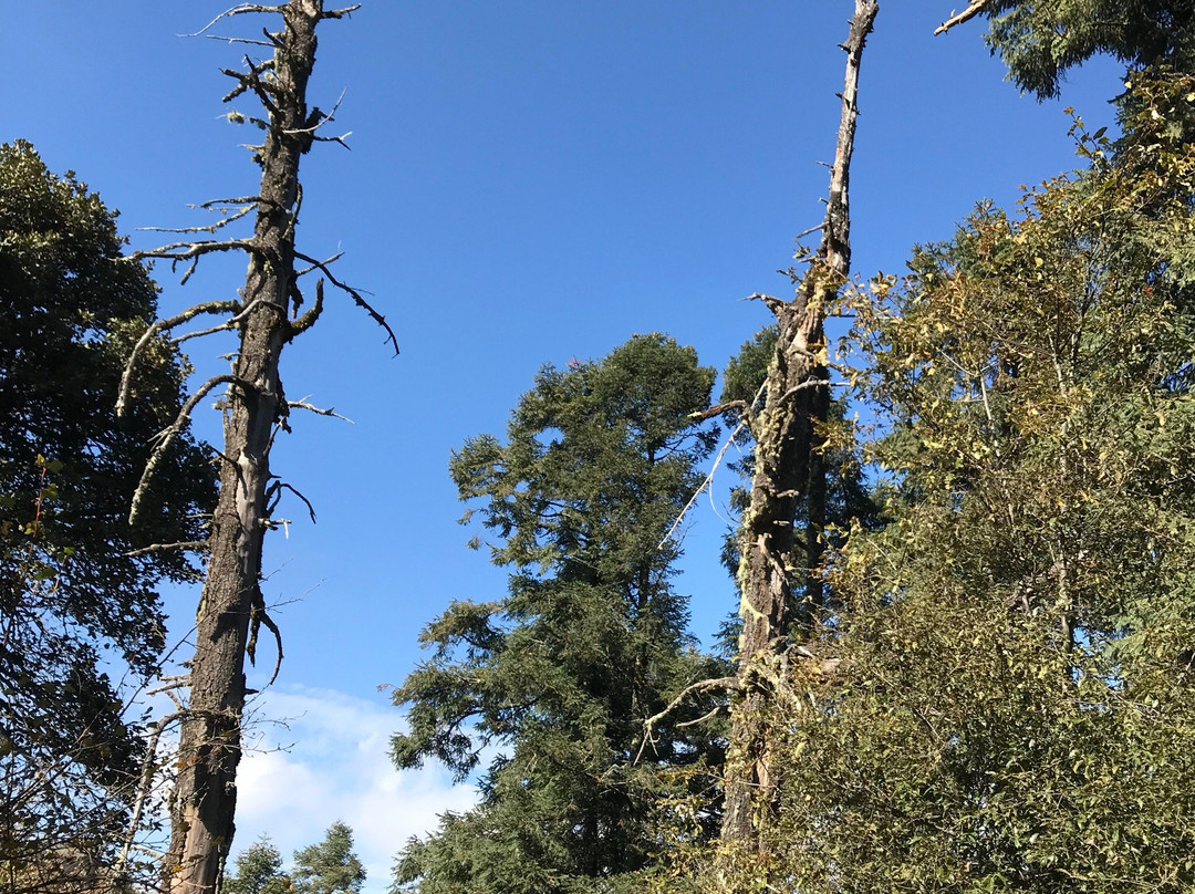 Las Ventanas-Mineral del Chico必去景点