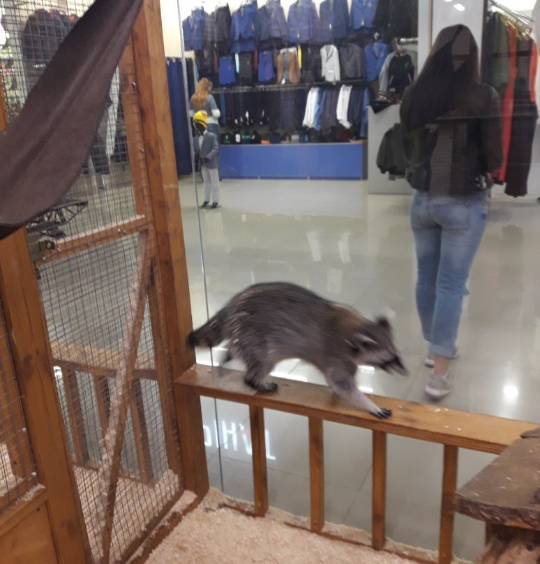 Touching Zoo Makki-Pakki-敖德萨必去景点