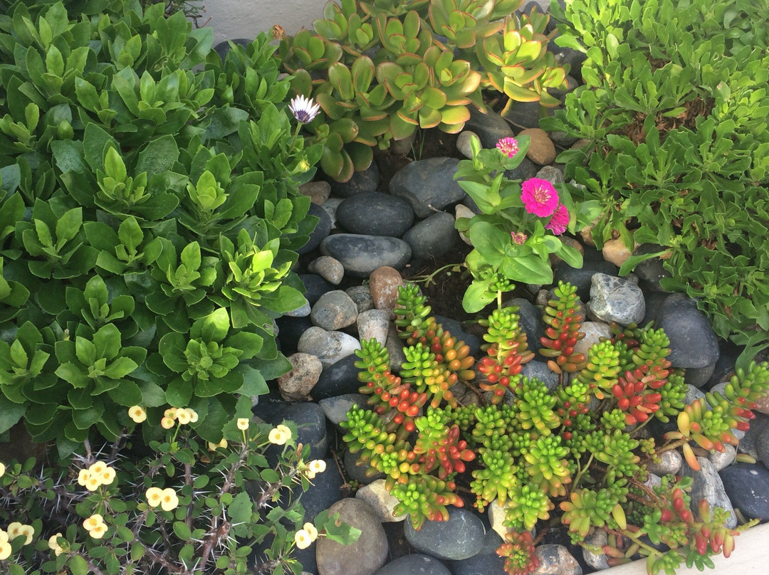 The Edge Boutique Bed & Breakfast主图