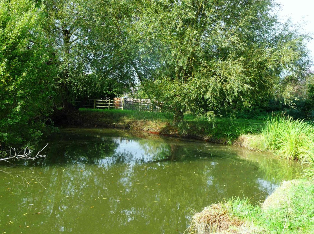 Island Pond Wood景点图片