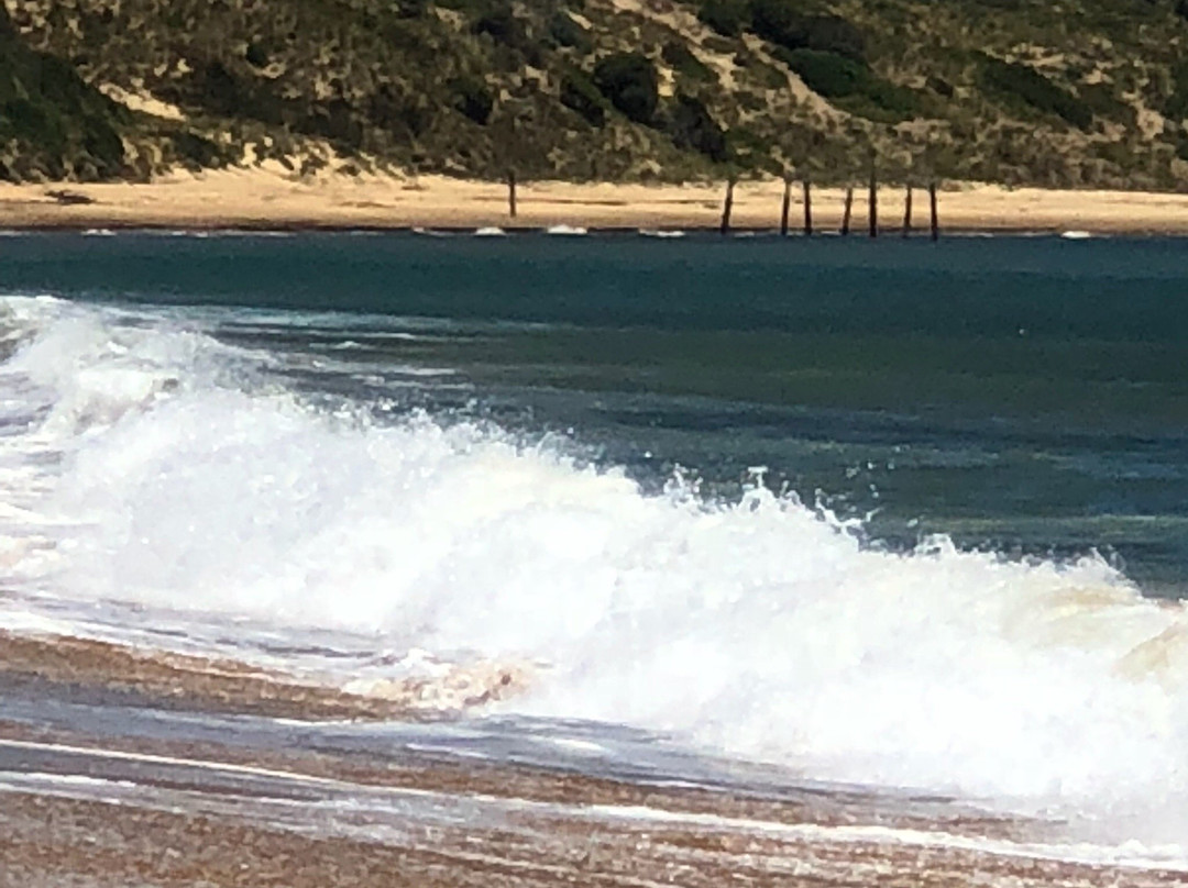Flynns Beach景点图片