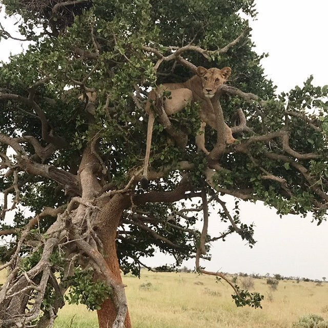 天蝎座别墅酒店主图