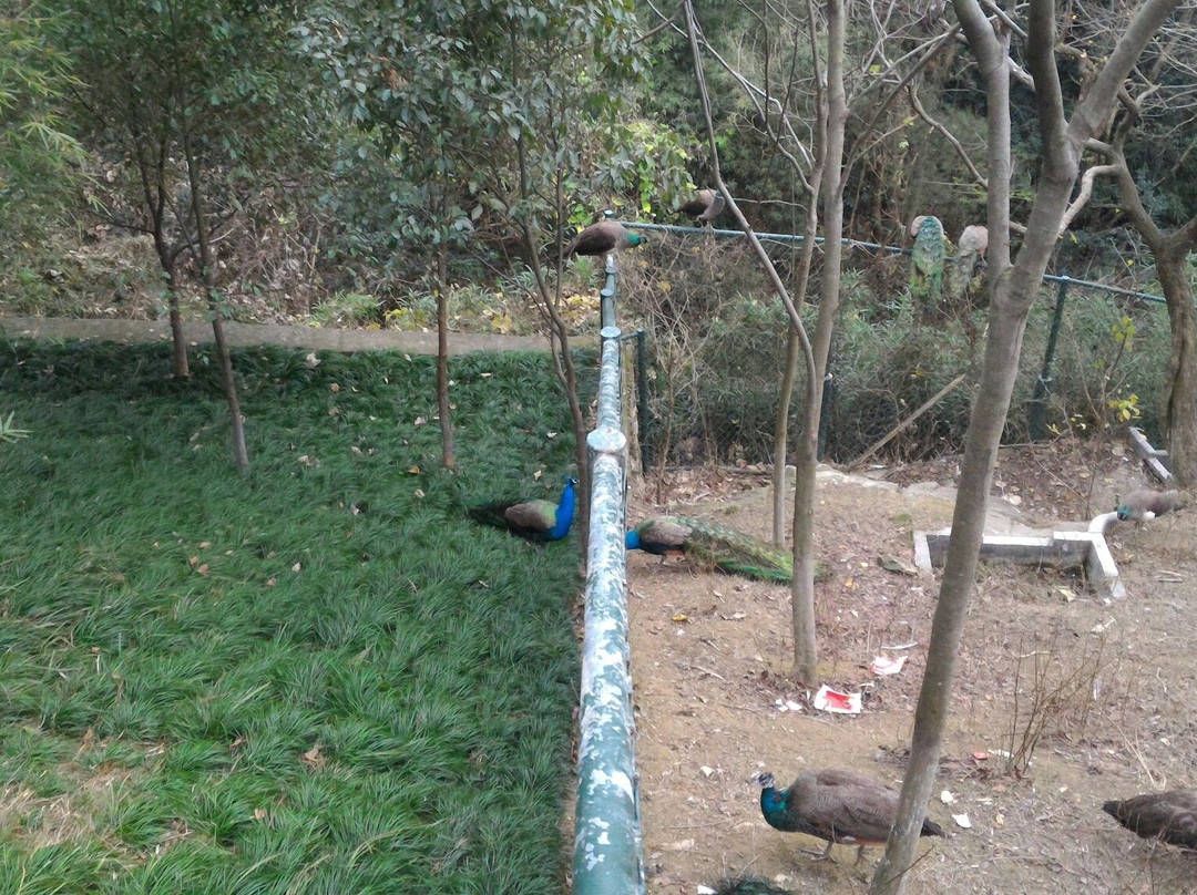 温州市动物园-温州市必去景点