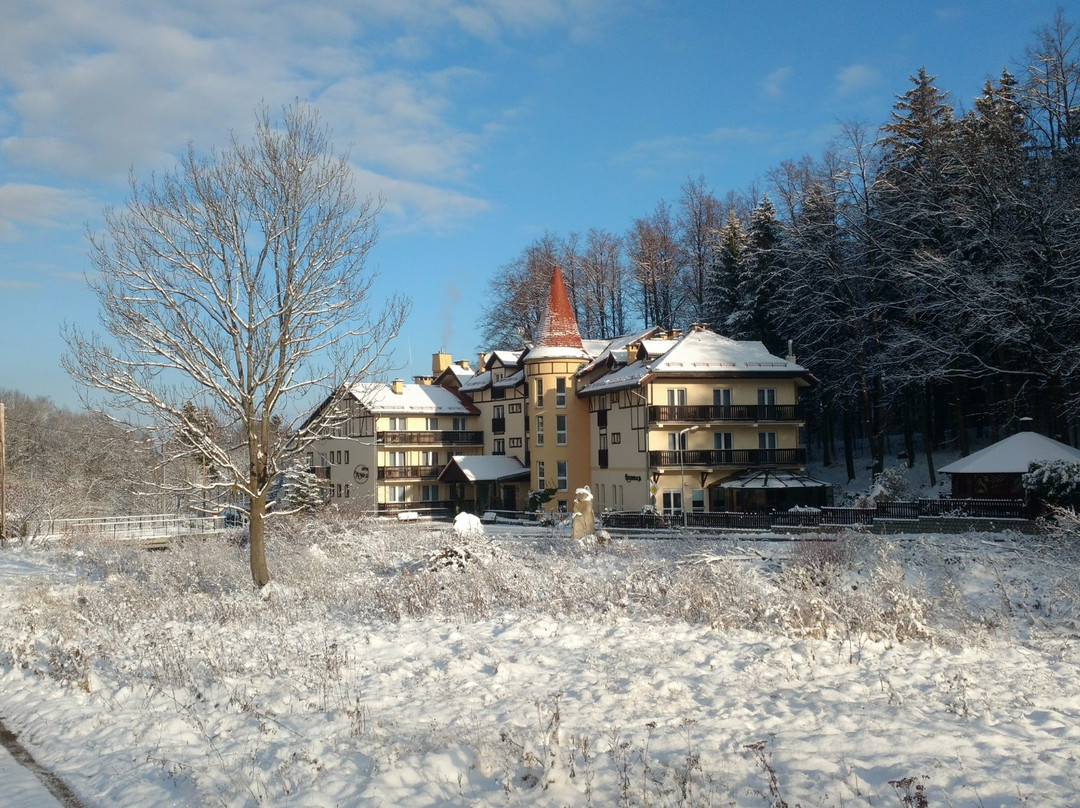 Hotel Nowa Ski主图