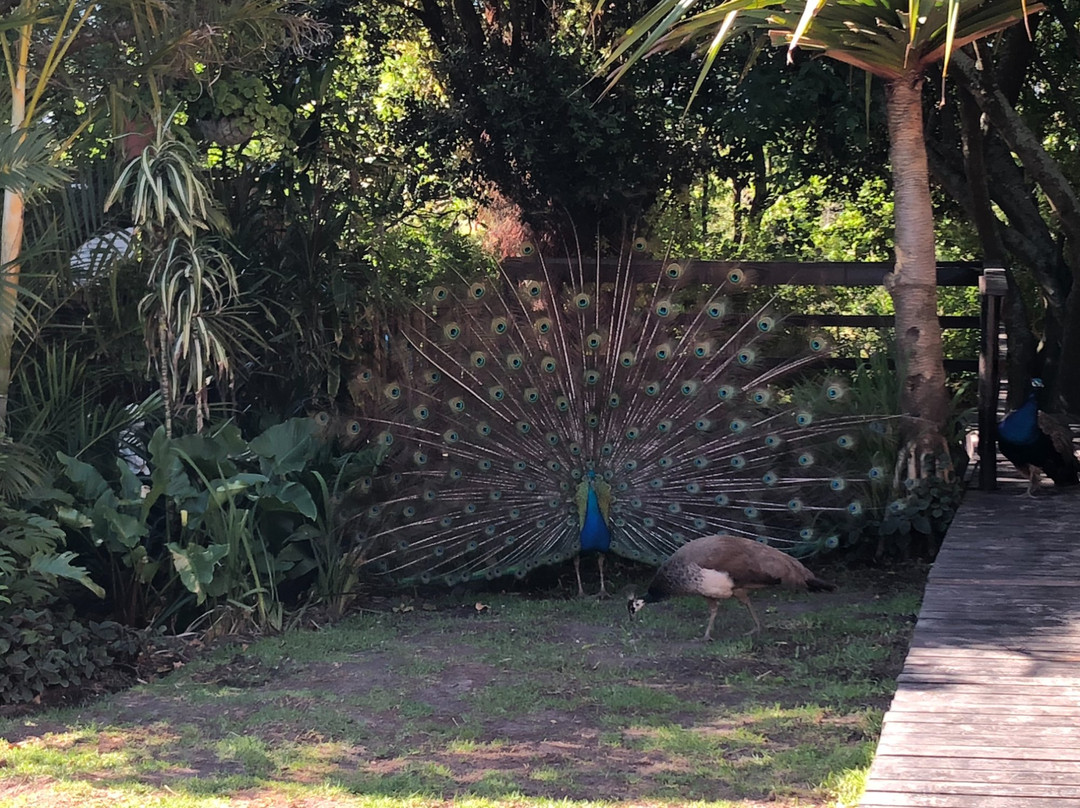 Misty Mountain Reserve主图