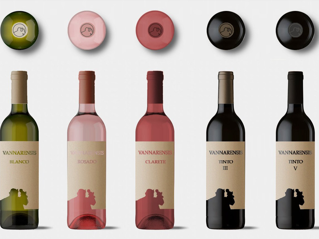 Vinun Ad Amicus景点图片