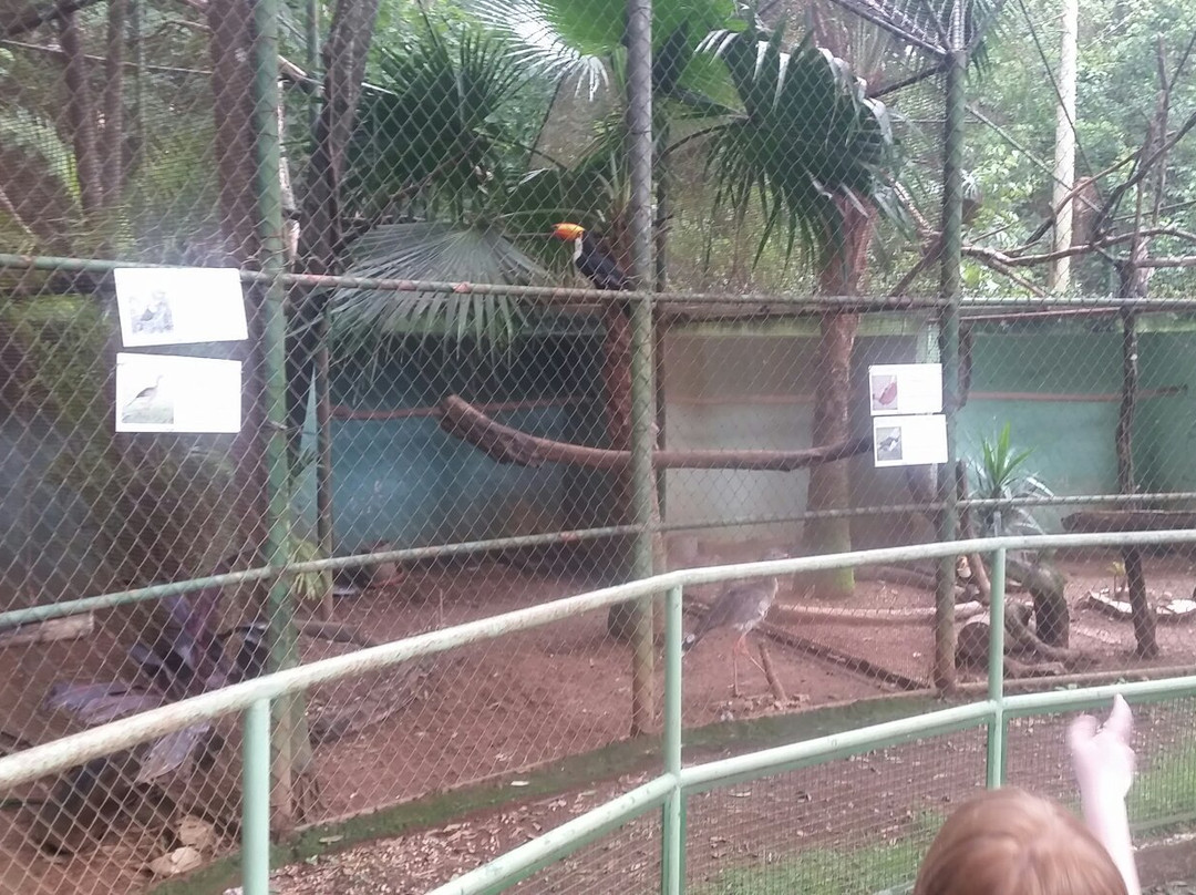 Zoológico de Varginha景点图片