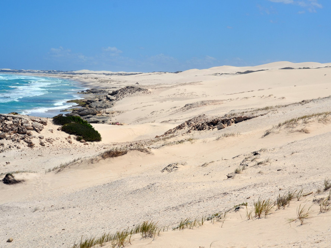 De Hoop Collection主图