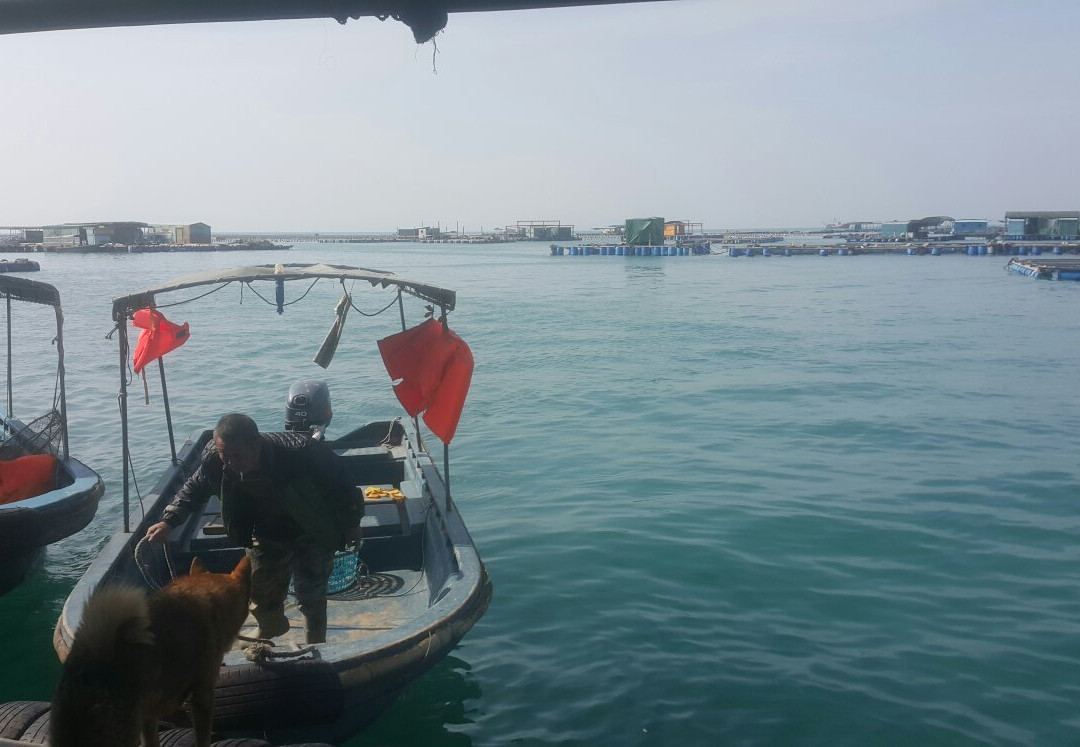 深圳南澳海鲜街-深圳市必去景点