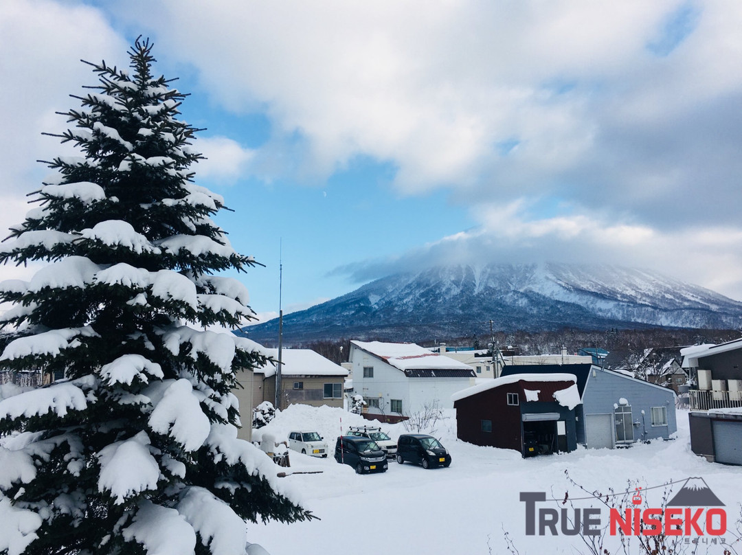 True Niseko-俱知安町必去景点