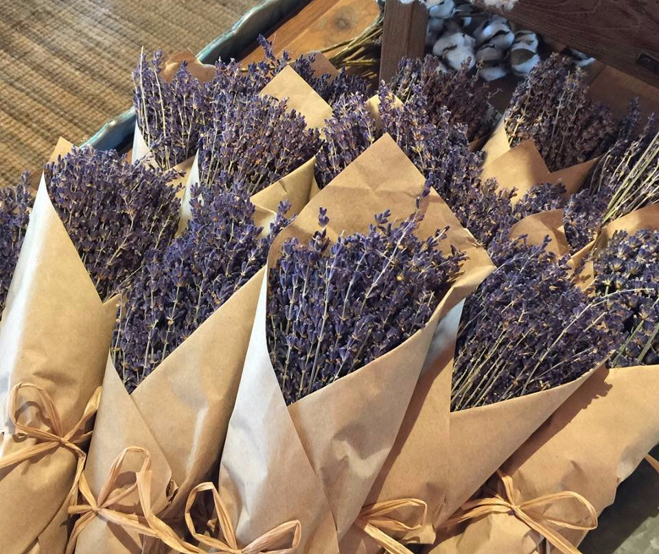 Hausita Home Revival & Antique Market-新布朗费尔斯必去景点