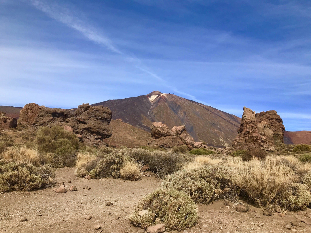 Excursiones Tenerife-圣克鲁斯-德特内里费必去景点