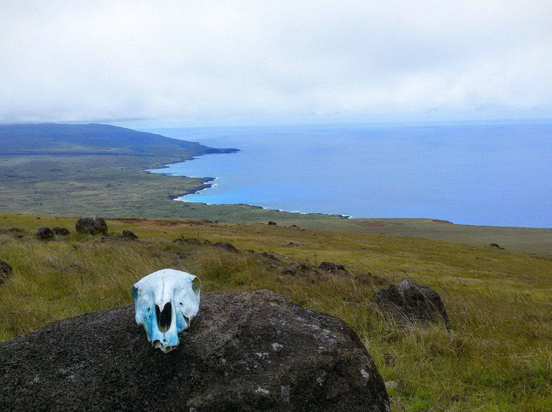 Poike Volcano-复活节岛必去景点