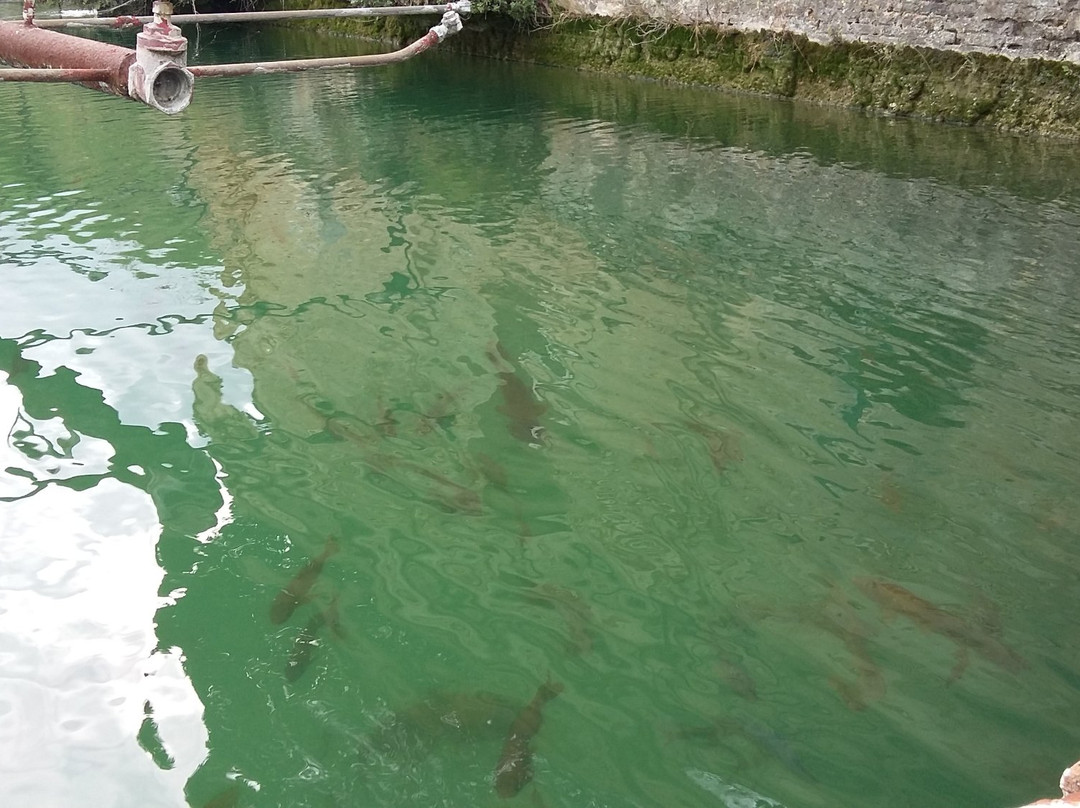 Fontana La Peschiera-Francavilla Al Mare必去景点