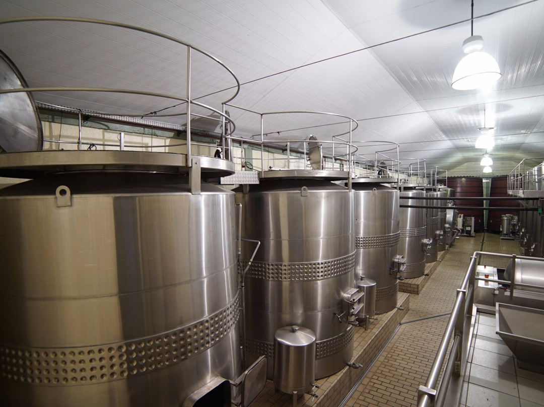 Boscato Vinhos Finos-Nova Padua必去景点