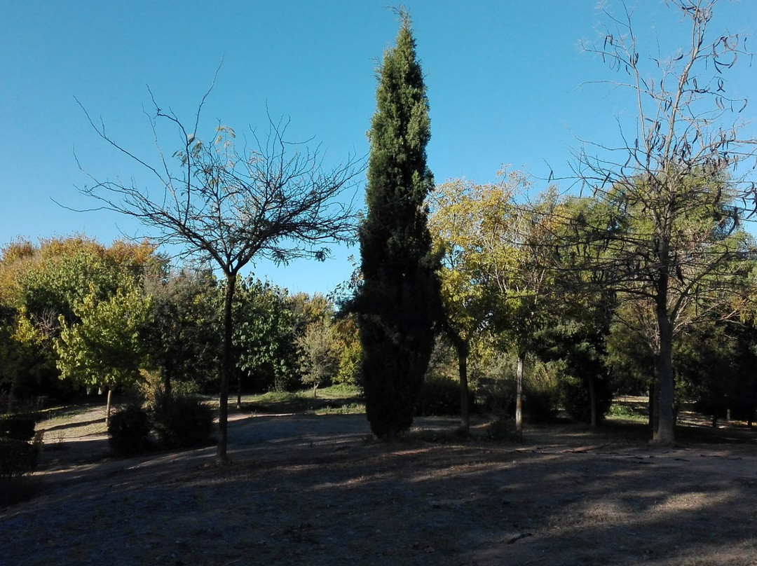Parque de la Pulgosa景点图片