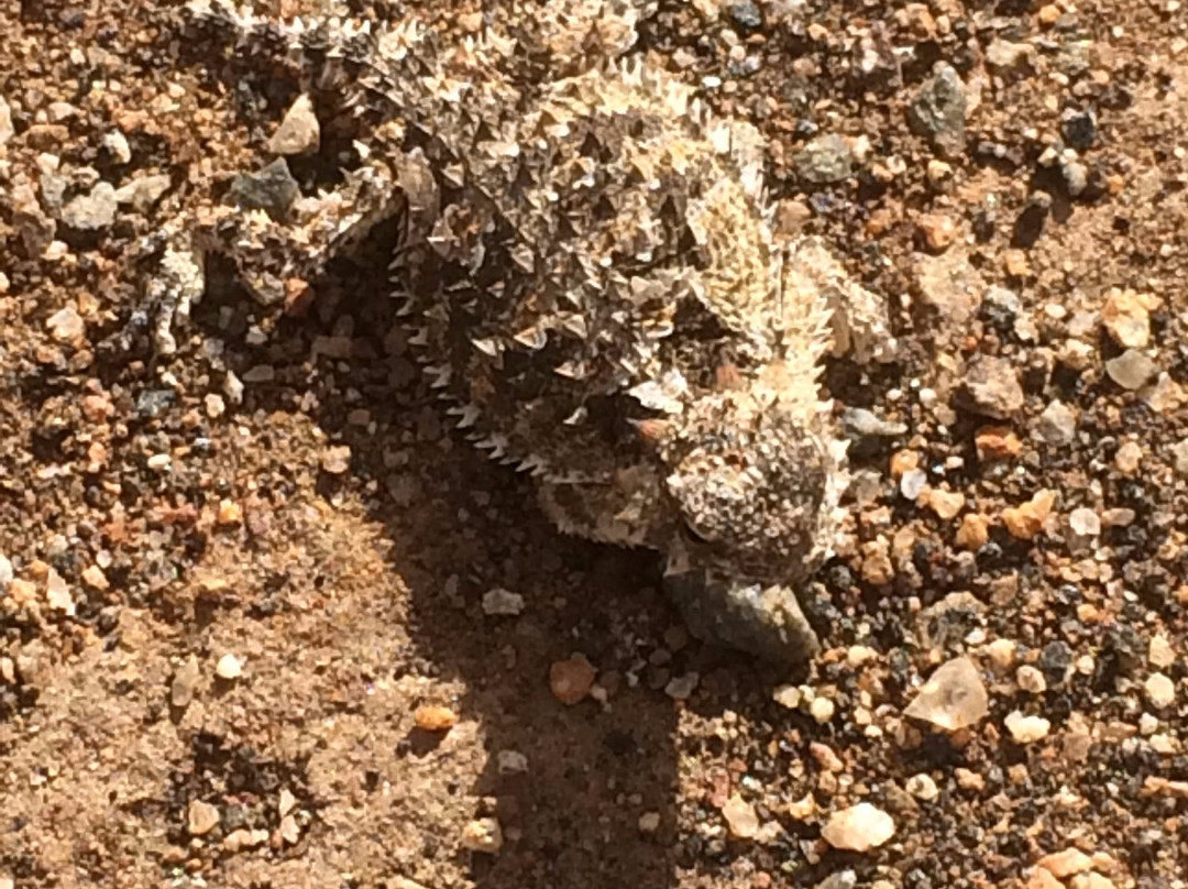 Hellhole Canyon Trail-波瑞戈泉必去景点