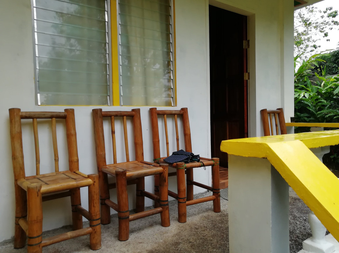 Little Bridges主图