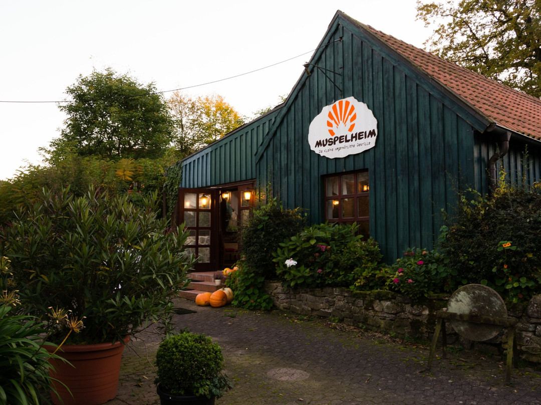 Teutonenhof Externsteine