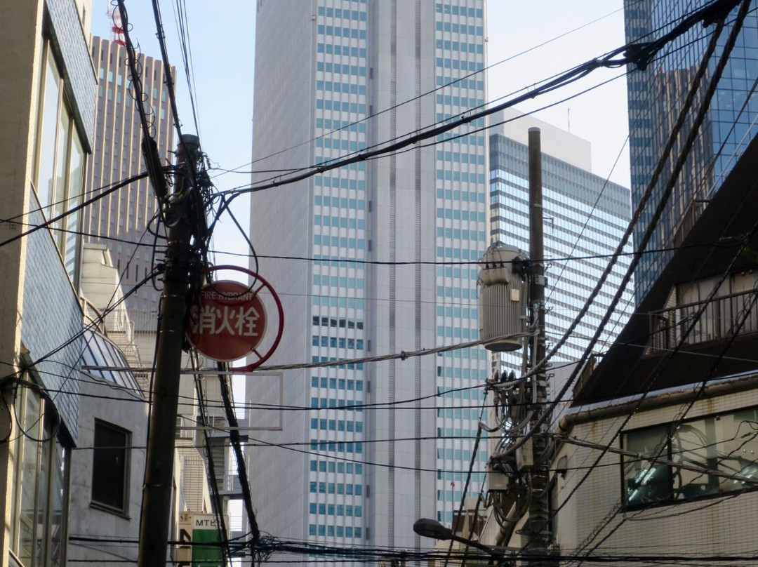 新宿野村大厦-Nishishinjuku必去景点