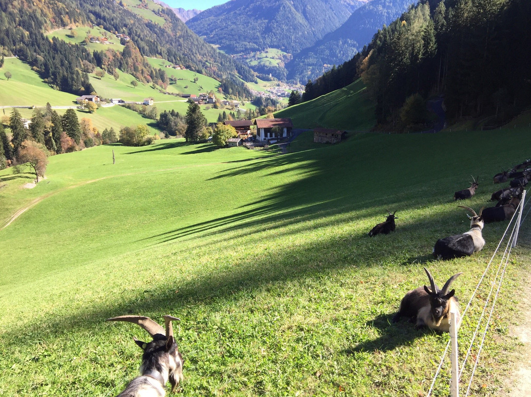 Passirio Canyon-Moso in Passiria必去景点