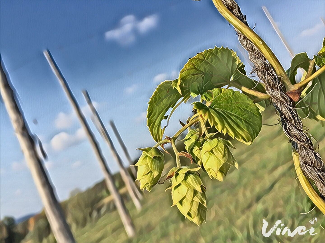 Erabliere Chic Rustique-Orford必去景点