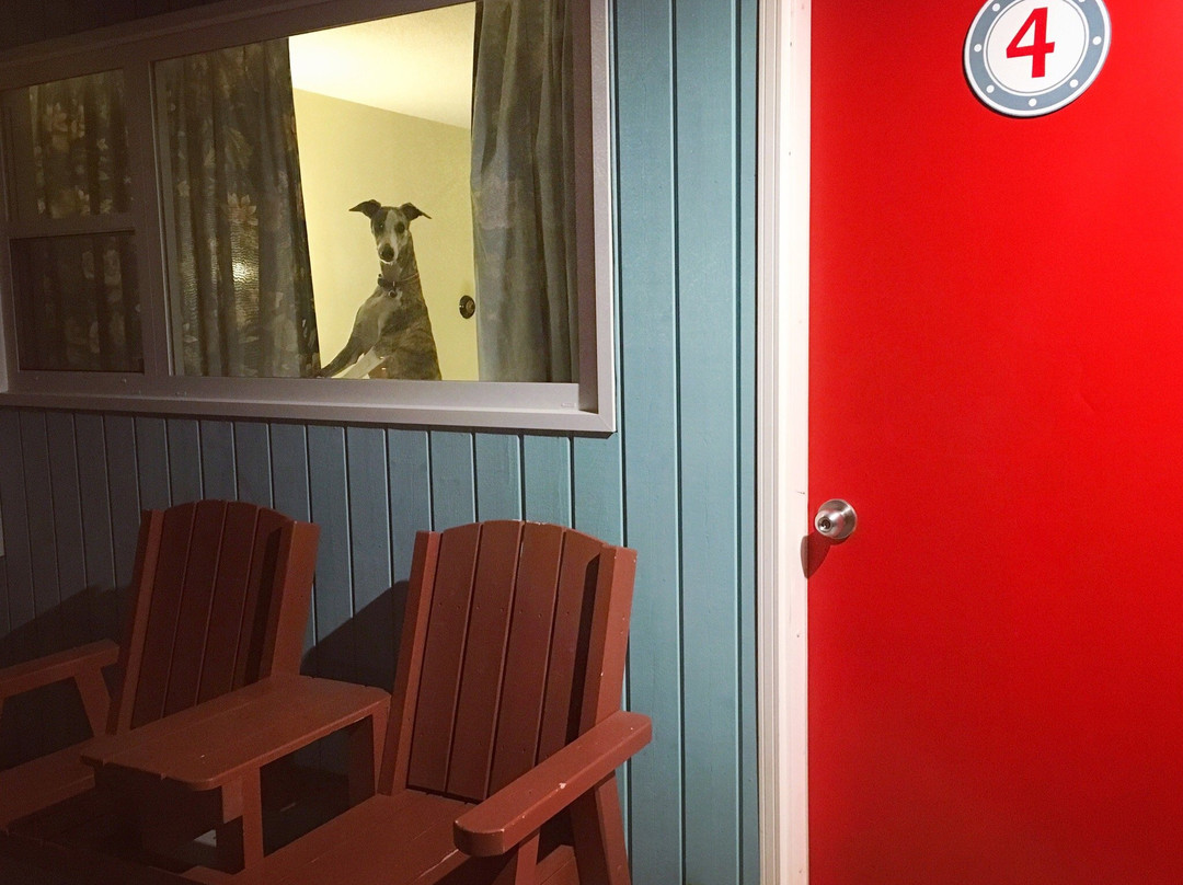 Hebridean Motel主图