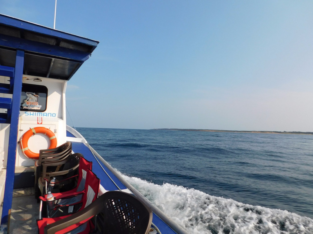 Wicked Sea Adventures景点图片