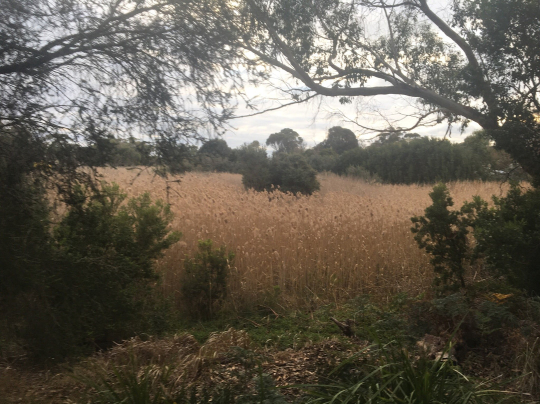 Tootgarook Wetlands-Tootgarook必去景点