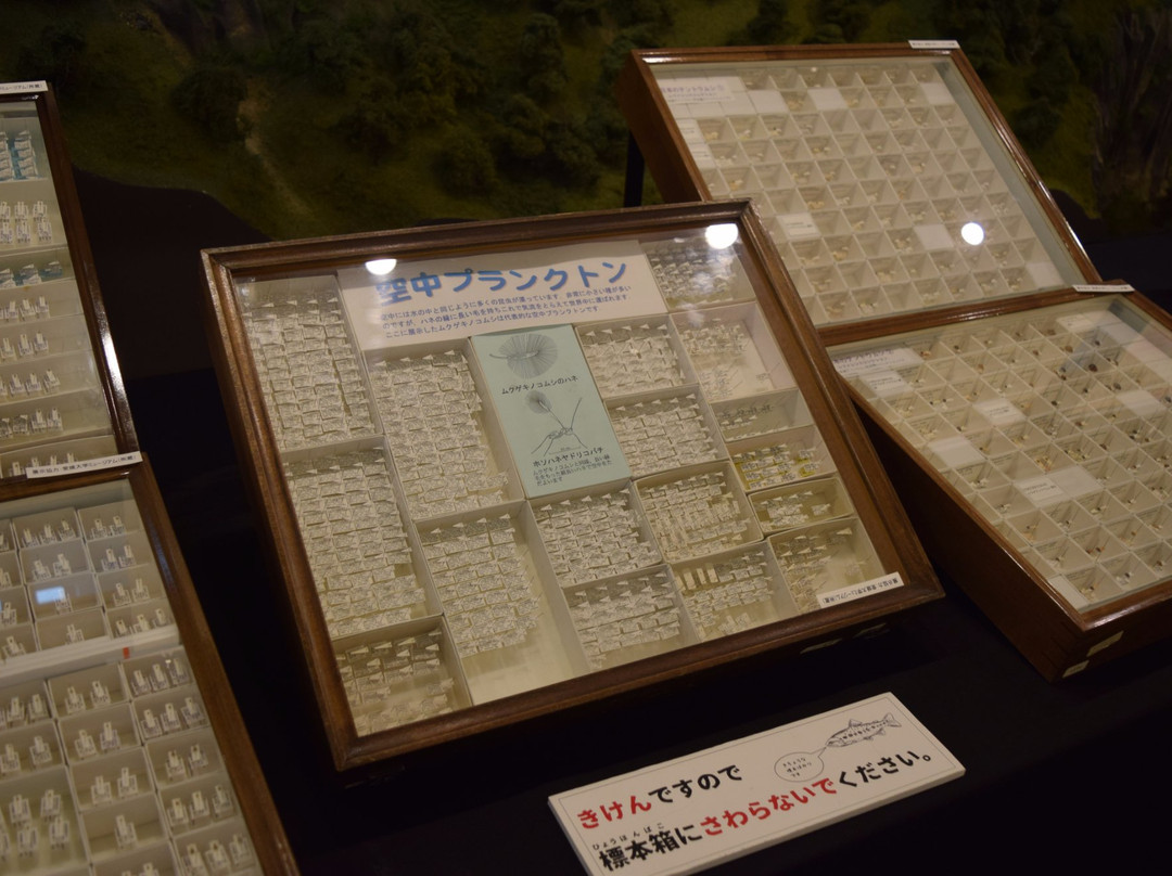 Omogo Mountain Museum-久万高原町必去景点