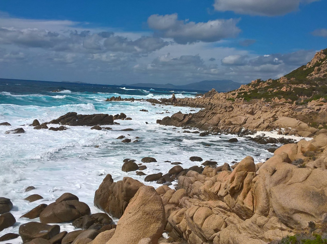 Tour de Capo Di Muro景点图片