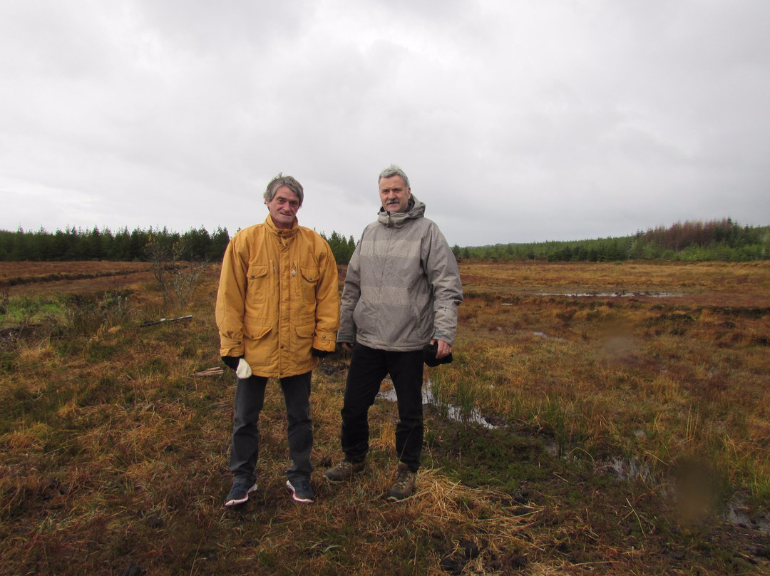 Turf Bog Tours by McAndrew's Store-Belleek必去景点