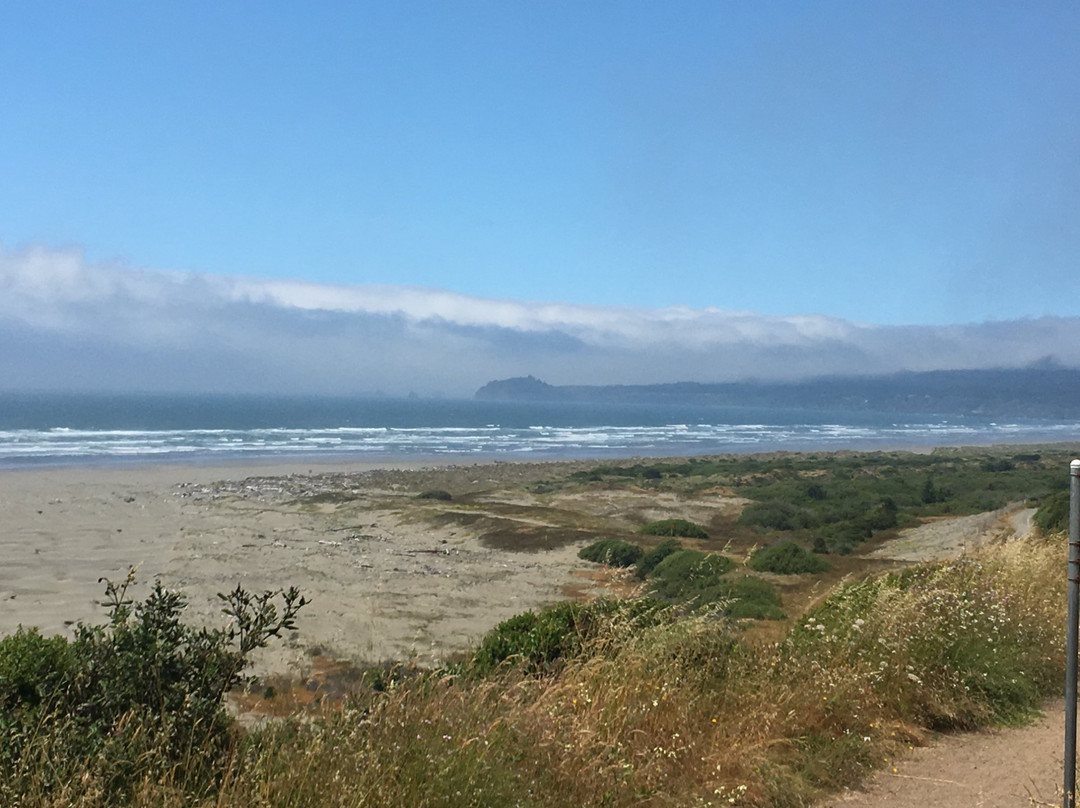 Clam Beach景点图片