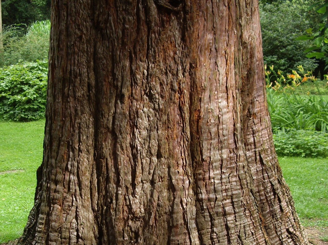 Botanischer Garten-Ibbenbueren必去景点