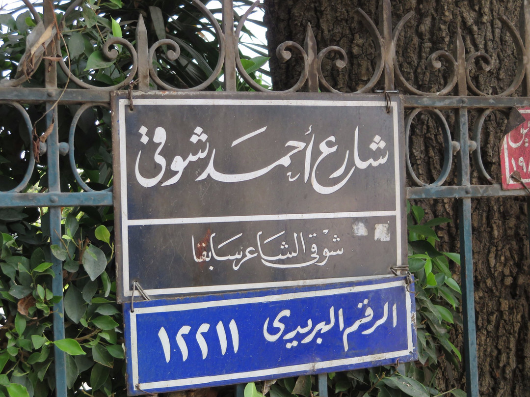 Ahmed Shawki Museum (Karmat Ibn Hani')-吉萨必去景点