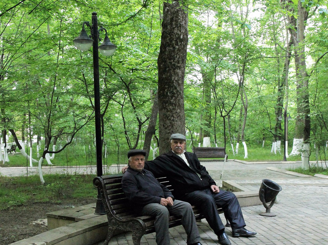 Nariman Narimanov Park景点图片