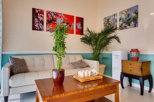 Amazian Massage-迈阿密必去景点