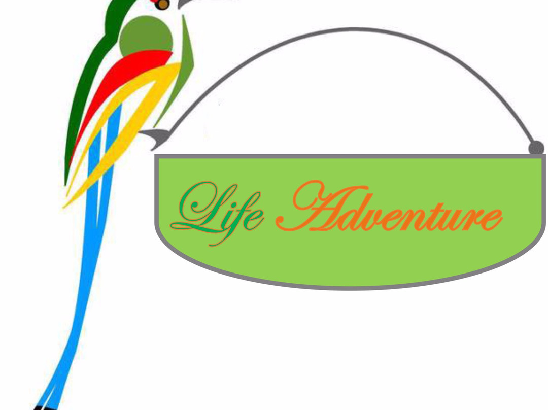 Life Adventures C.R景点图片