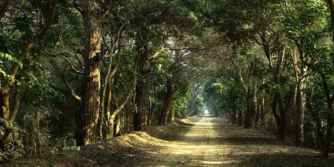 Punjab Duck Tours-阿姆利则必去景点