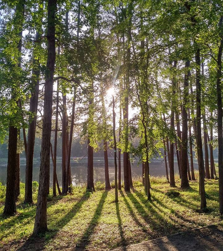 Davy Crockett National Forest-Ratcliff必去景点