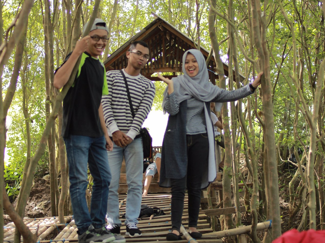 Mangrove Forest Kulon Progo-Kulon Progo必去景点