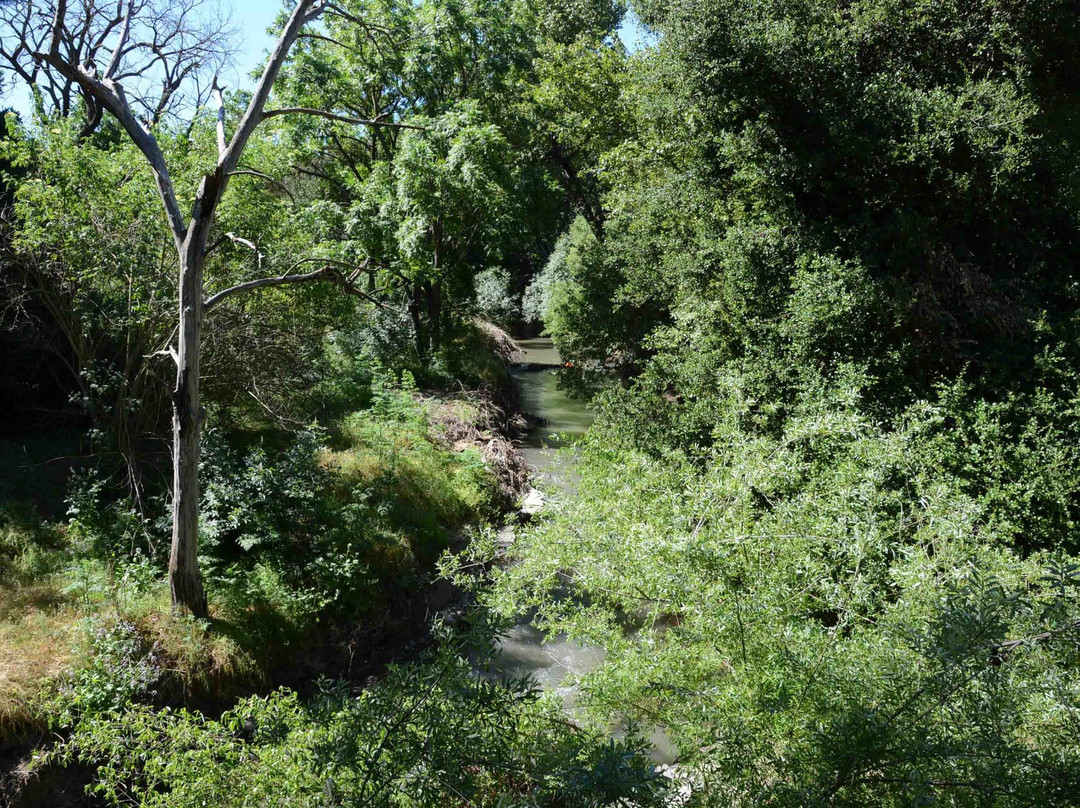 史蒂文斯溪小道-山景城必去景点