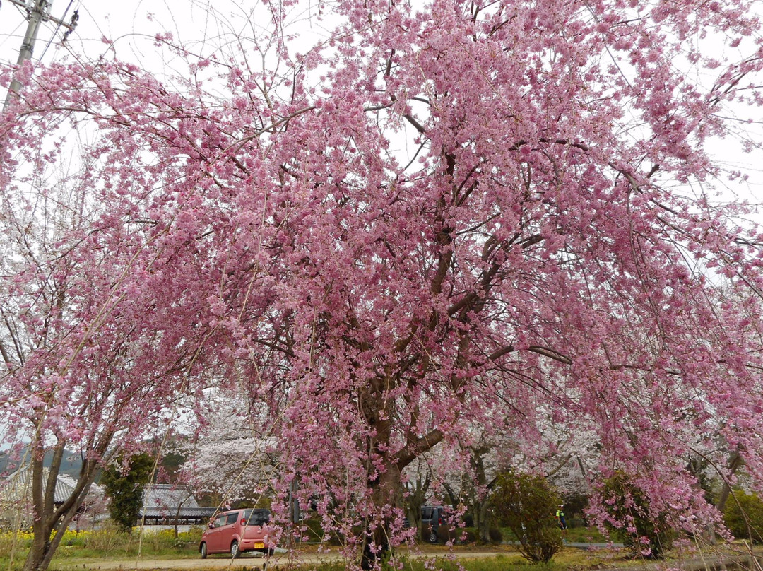 Ryujusansesonji Temple-大淀町必去景点
