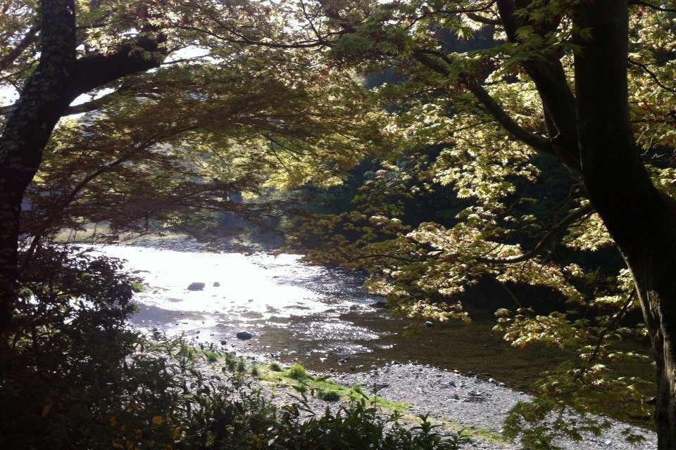 秋江溪谷锦江阁旅馆主图